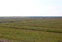 IMG_4443_C