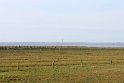 IMG_4444_A