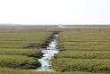 IMG_4445_A