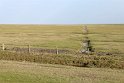 IMG_4446_C