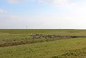 IMG_4447_A