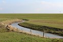 IMG_4448_A