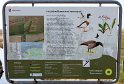 IMG_4449_A