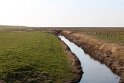 IMG_4450_A
