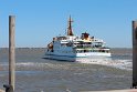 IMG_0667