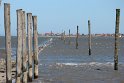 IMG_0671