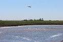 IMG_0672