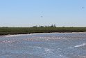 IMG_0673