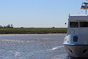 IMG_0674