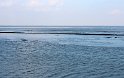 IMG_4452_A