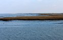 IMG_4453_A