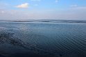 IMG_4456_C