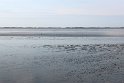 IMG_4457_A