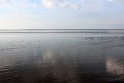 IMG_4458_C