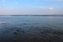 IMG_4460_C