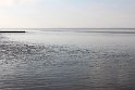 IMG_4462_C