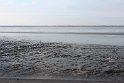 IMG_4463_C