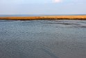 IMG_4464_C