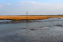 IMG_4465_C