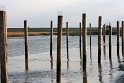 IMG_4466_A