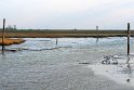 IMG_4469_A