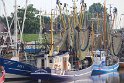 IMG_1910