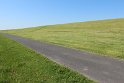 IMG_0729