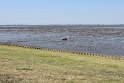 IMG_0733