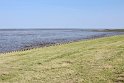 IMG_0734