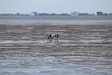 IMG_0739