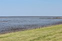 IMG_0741