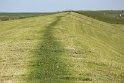 IMG_0742