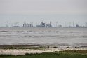 IMG_0981