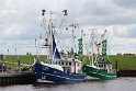 IMG_1655